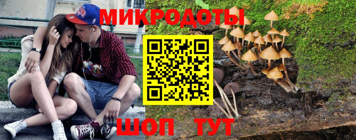 Псилоцибиновые грибы мицелий Артёмовский