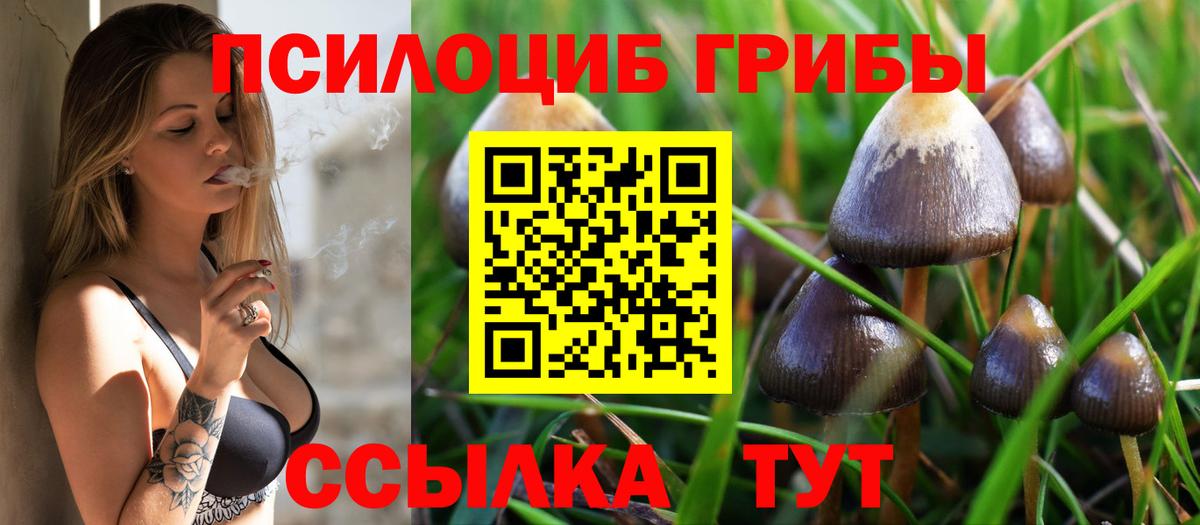 Псилоцибиновые грибы прущие грибы  Вход с VPN  Галлюциногенные грибы MAGIC MUSHROOMS  Артёмовский 
