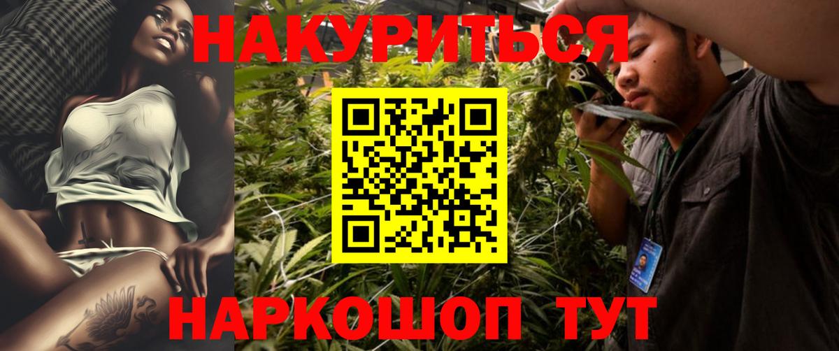 Конопля планчик Артёмовский